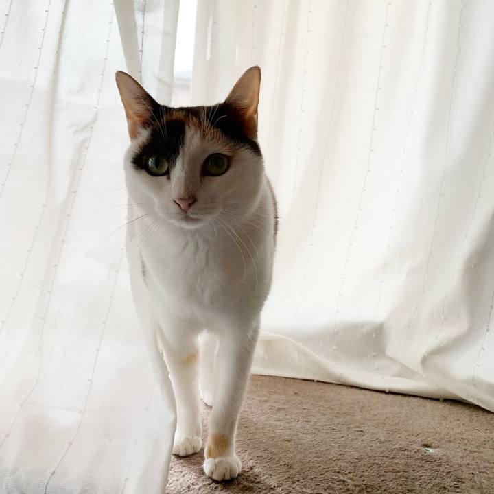 C3d4b68c 5d72 4b24 ab7d dbdb449e328b 1540348692753