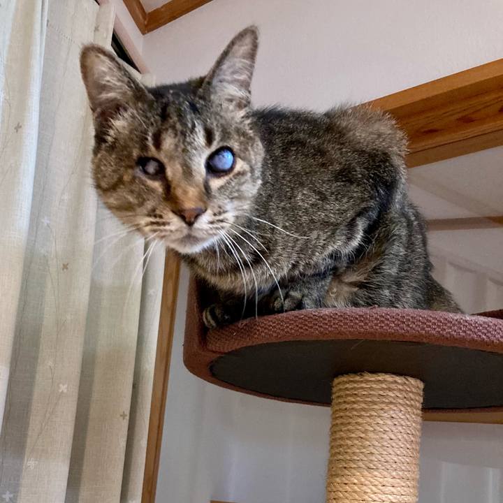 C3d4dbdb 95ec 46c3 8bff f6034b5b0e70 1677756557527