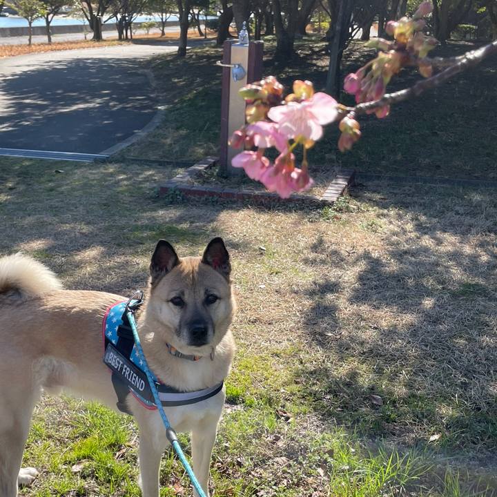 C3d51404 a033 4818 9b24 db91bdd49be8 1708258370593