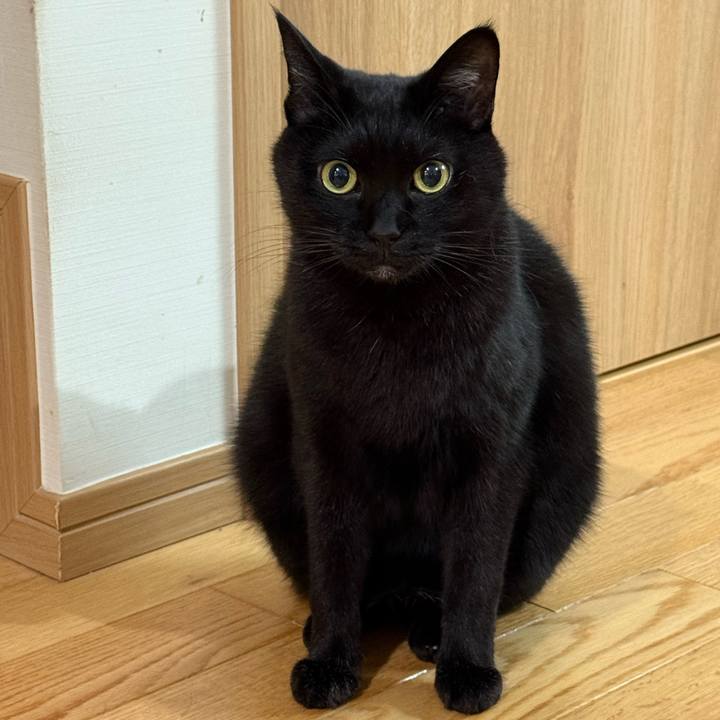 C3d51673 9599 4b9e 9674 2c8ac272da29 1763167236831