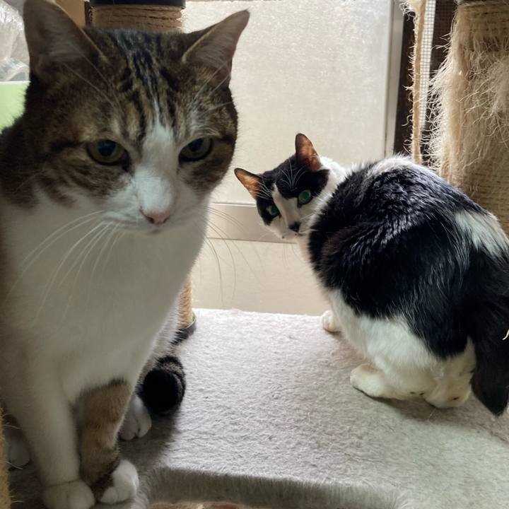 C3d51cfc 1d80 48f2 bb2f a039fa7eb363 1614157073648