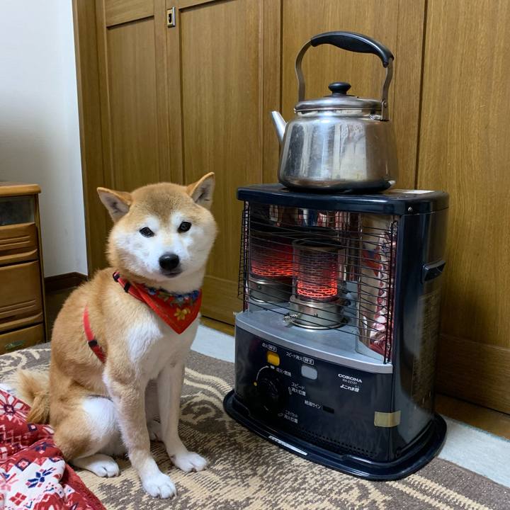 C3d53093 9e9b 4983 b404 d8b03cda8622 1610871123506