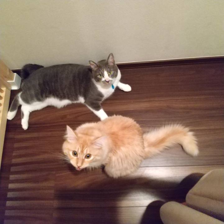 C3d56796 d65a 49b7 862a 23e5bea98b0b 1628591759318