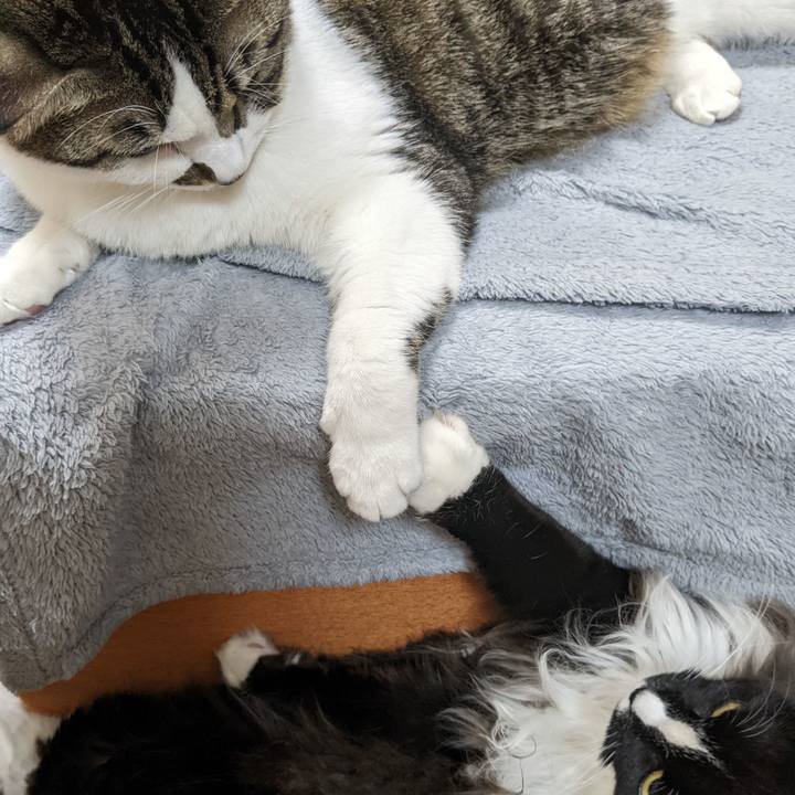 C3d56d6a 7fa7 4230 8385 f8c699f3be1c 1666916591597