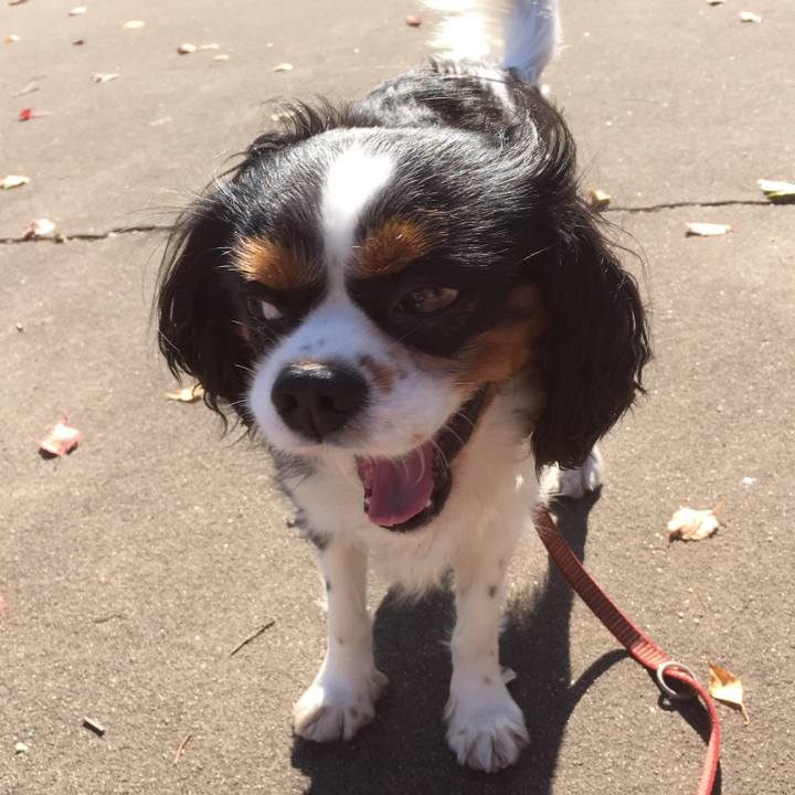 C3d58402 f795 4342 aaff af1b34b8ad00 1513133728223