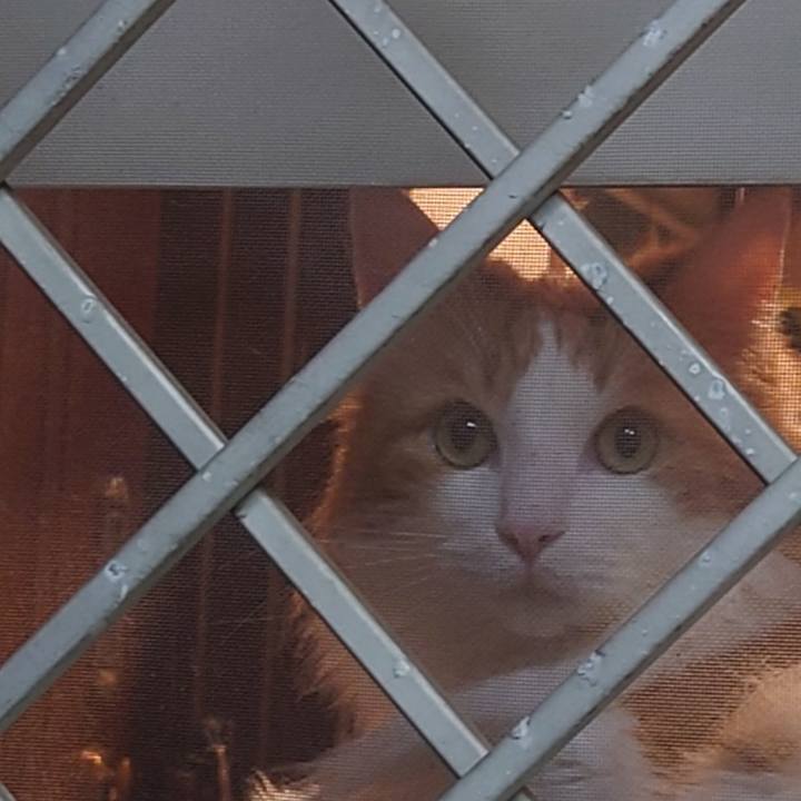 C3d59519 f347 49d1 ab0b 8213ea8f4437 1659795588645