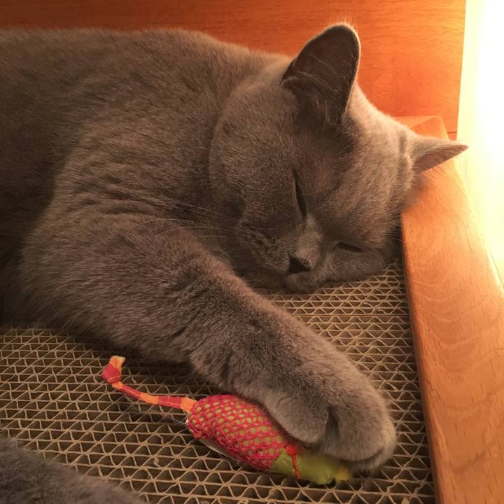 C3d5965b eef8 4d03 a85c 4653624dded5 1511686309546