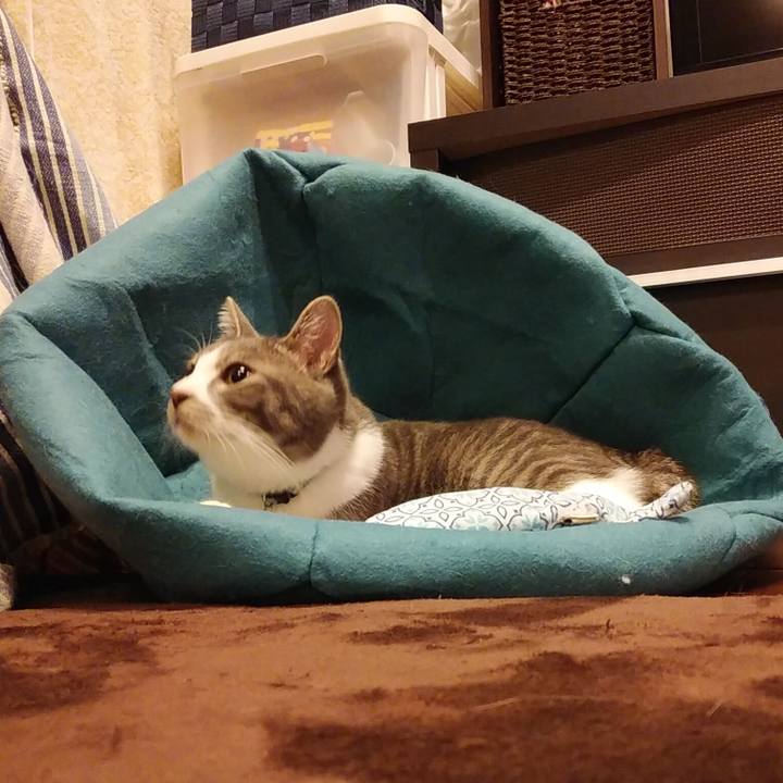 C3d59738 7ad1 451c af43 28f6ca26a62a 1583940109952