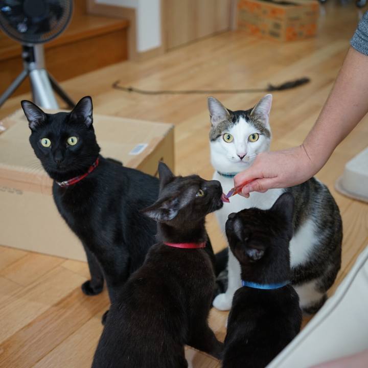 C3d5be51 9332 4f27 ab65 36b6668fe526 1509676902979