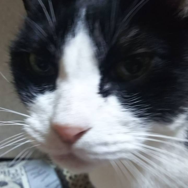 C3d5c53b aeba 4bad a437 0e8c13b15f13 1579556653601