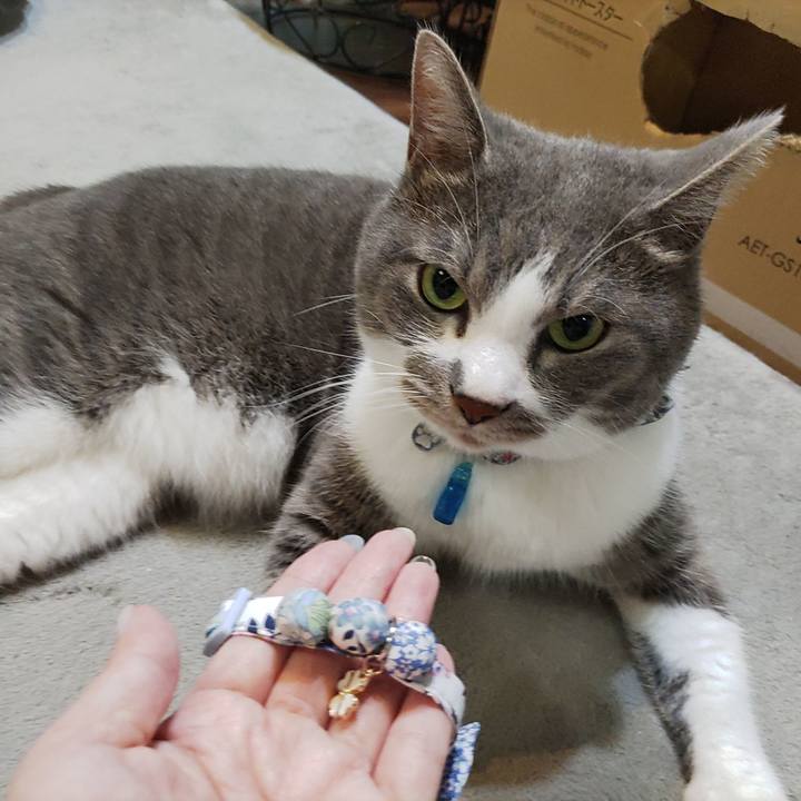 C3d5c7ce 77d3 4ef5 b502 812b5f55b882 1722260649385