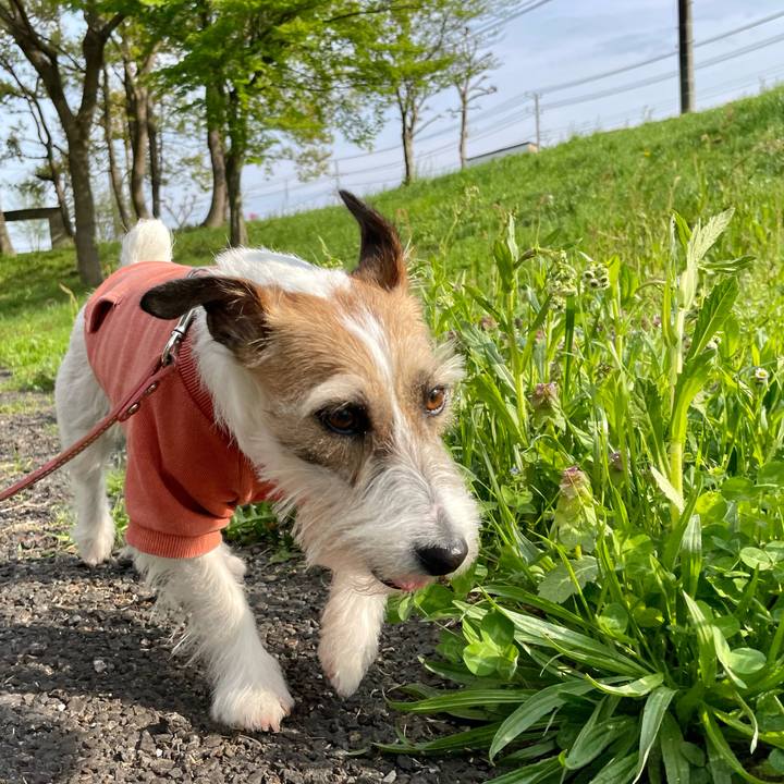 C3d600dd 5aec 4ef4 9f63 c88a1042552e 1650358161967