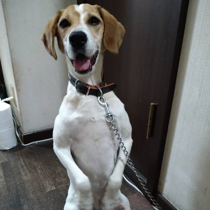 C3d62bbc 684c 4452 ad6a c629f3525262 1656167179292