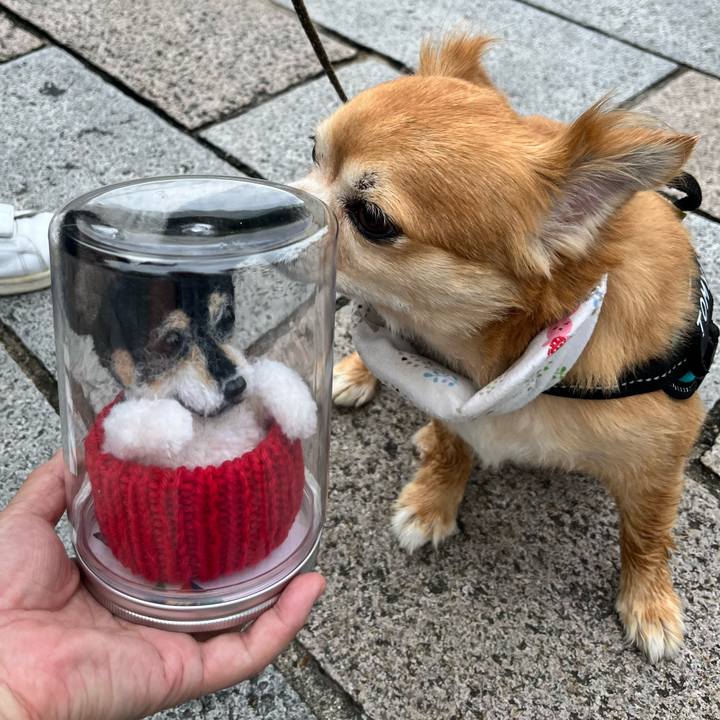 C3d63f1a 9cd9 4ad9 9dcb 922e72ba540c 1661046559090