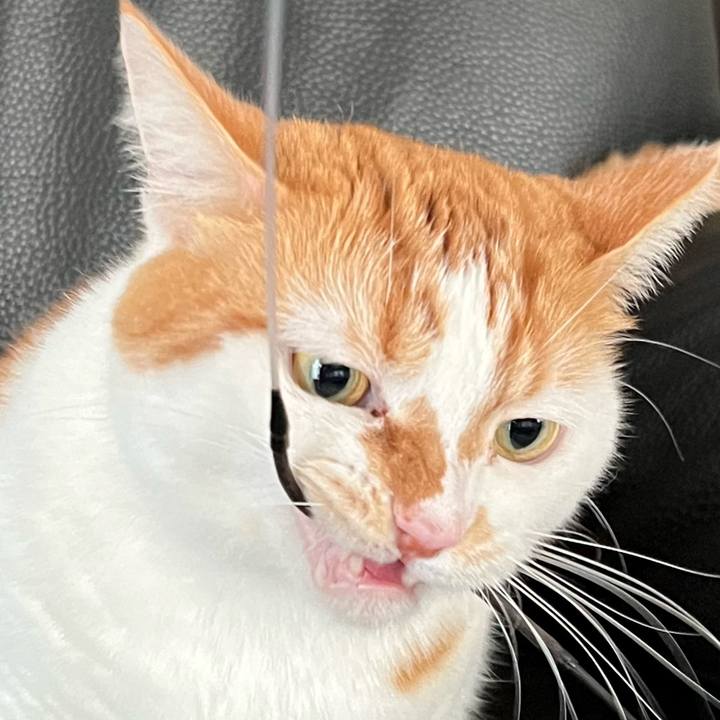 C3d64b4a 5cfe 4a1a b486 bf3497195ae7 1759462964945