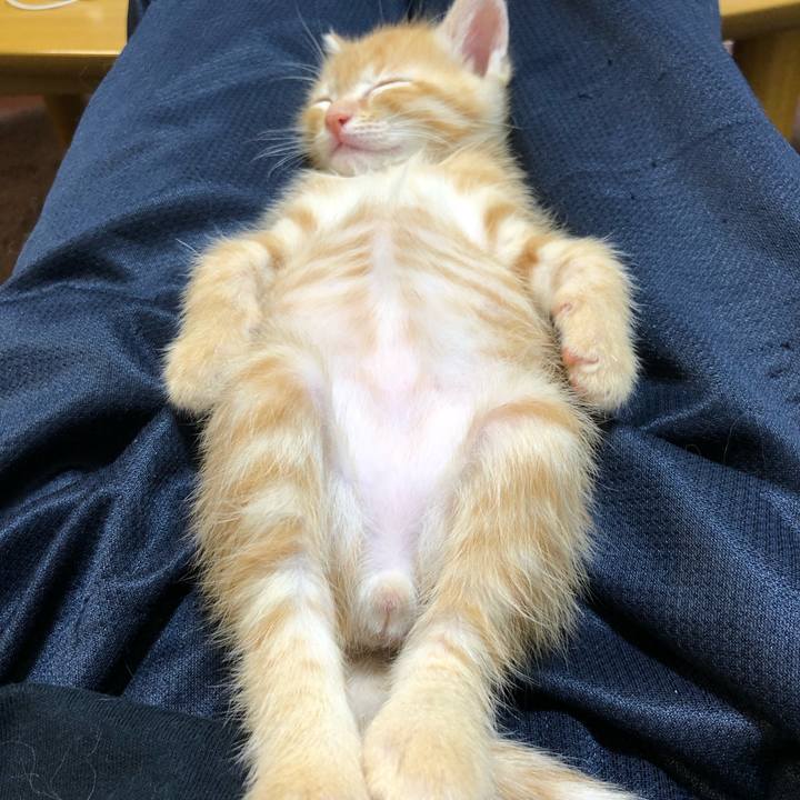 C3d660d5 ebd8 4af3 aae3 ce0358c46e25 1560768225905