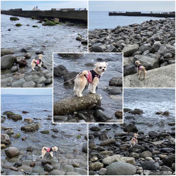 C3d67017 fdf1 4ac0 8d0d 307618f91e03 1583053049575