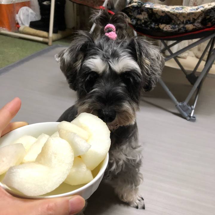 C3d680da a6ca 49ab 9167 bab55313d863 1568466875507