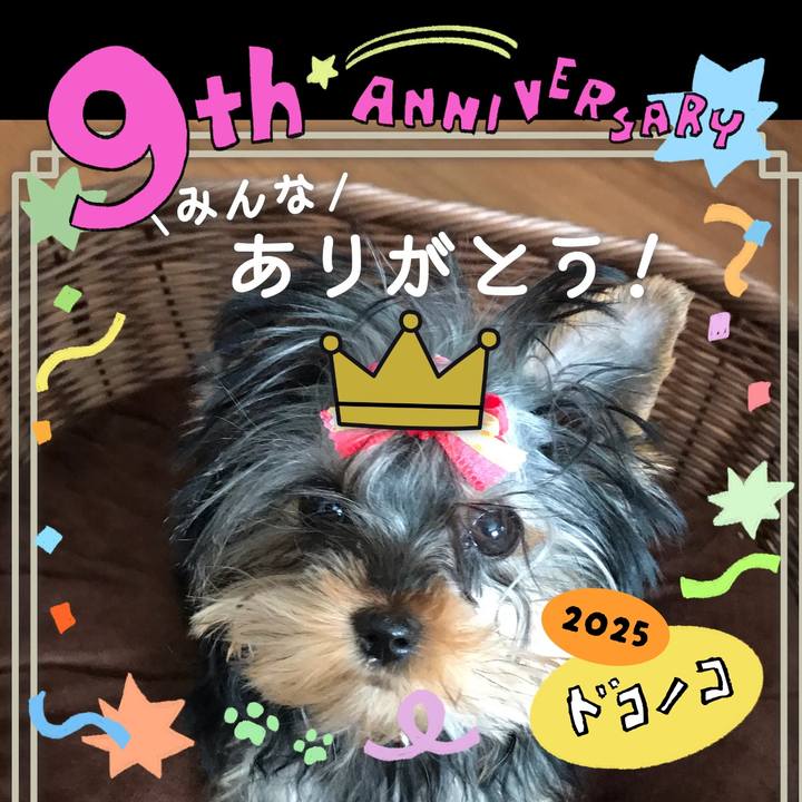 C3d6b693 b74f 437c 9fd2 fdb711084793 1749478776838