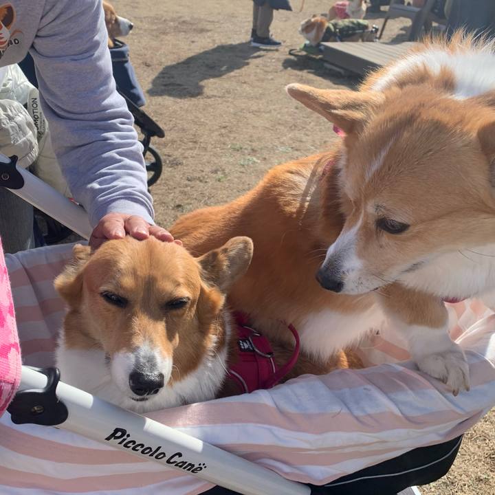 C3d6bea9 784a 405d b5fa 200735857b1e 1709094335769