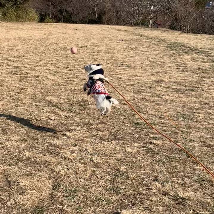 C3d6dac9 58ed 4779 b0fc 6ae767cf5663 1706666700949