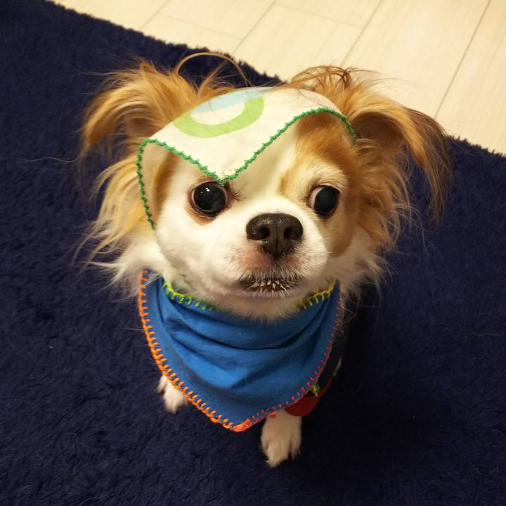 C3d6e6d6 71f8 4f2f a554 8d0da1b282be 1507728325702