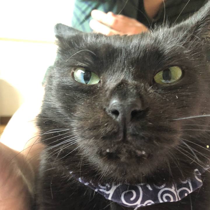 C3d70c05 9226 4ccc acc8 5ff80b1f6df8 1579325987212