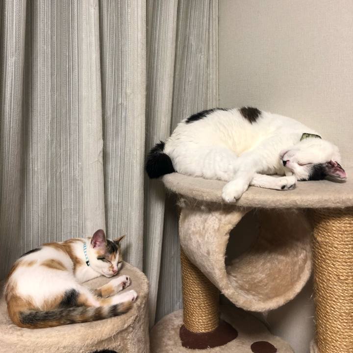 C3d751f1 42c7 4e03 82f9 0059151f6c75 1563460250537