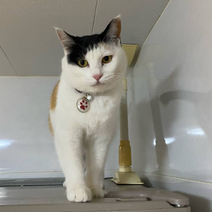 C3d7527f 4144 4104 b146 f9156f34859b 1644409596194