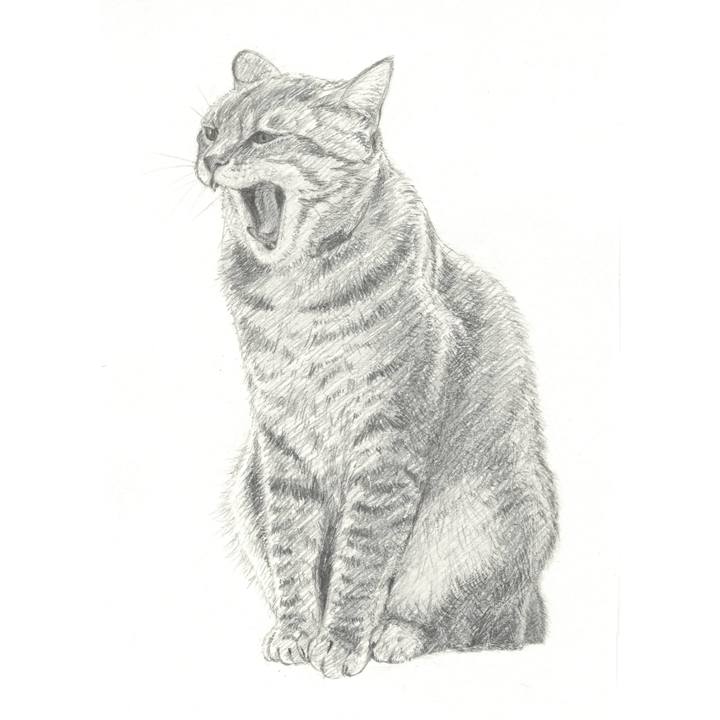 C3d78917 a10b 4a76 a7ae 211af6a54793 1542033567664