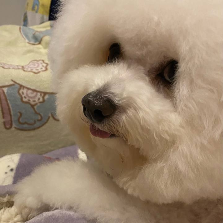 C3d78ab5 0d79 4776 86a4 ca0c7b59d658 1731920027895