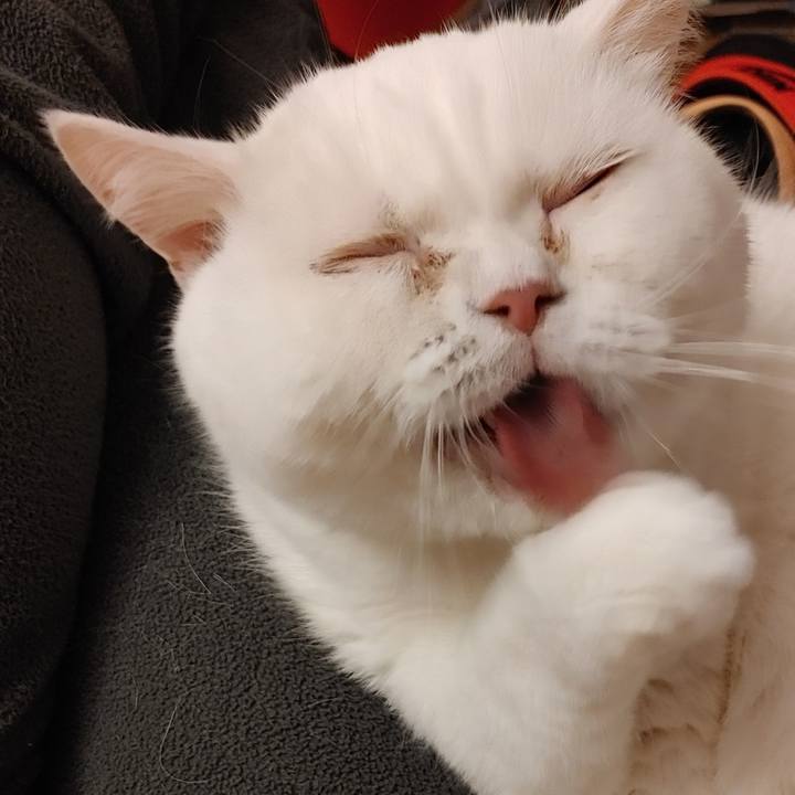 C3d7be4b a49f 4f02 b8a8 199a01252e3d 1607166519756