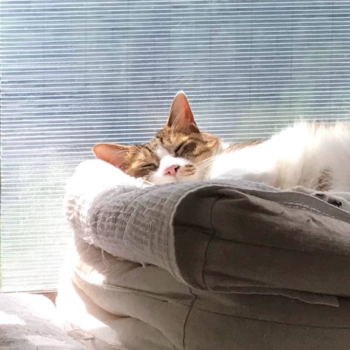 C3d7d096 1432 47f1 900a 0fa765fa0311 1632797866442