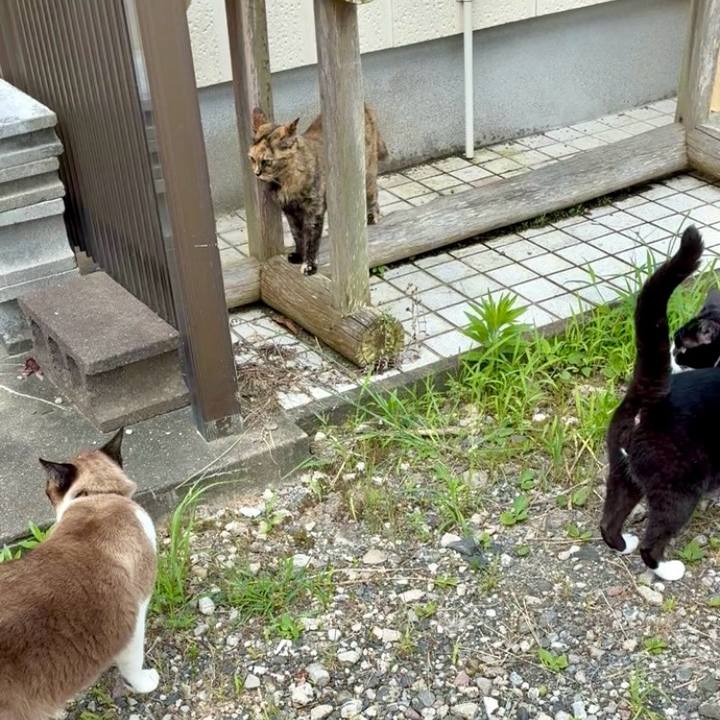 C3d8003f 35b3 46e6 a02b e1d6d91efb32 1751684295809