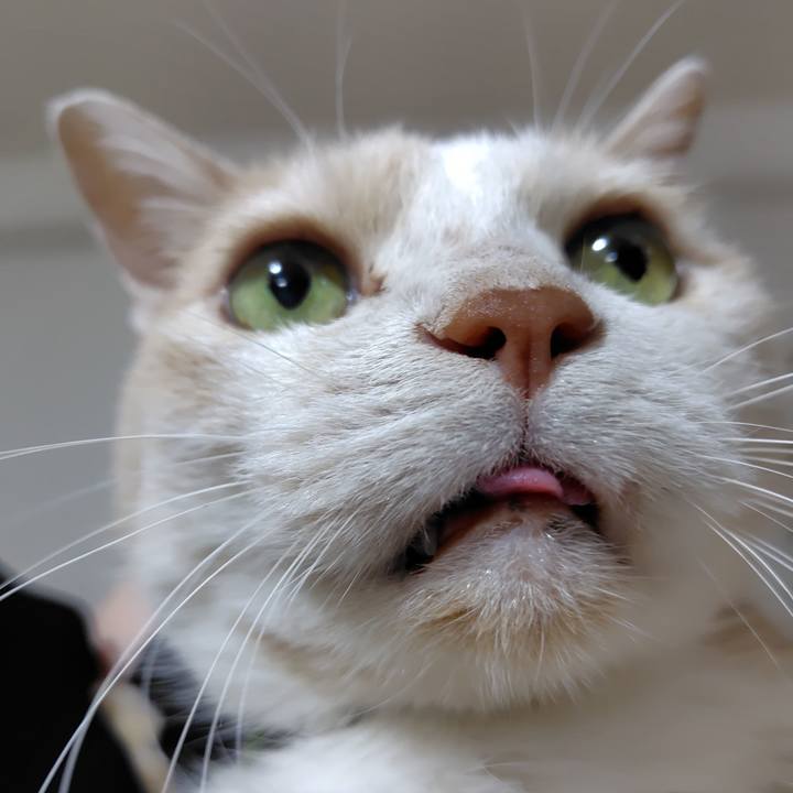 C3d8053b 83e2 4854 b57c 98cb6c71409a 1730197084213