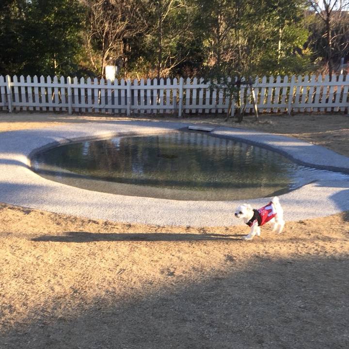 C3d84923 6ad5 4a34 85b3 93ee286c7552 1515584632969