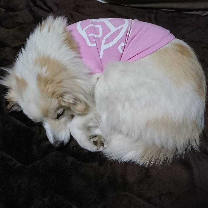 C3d8700e 960e 4b13 8eb4 9937531ffde5 1519847754384