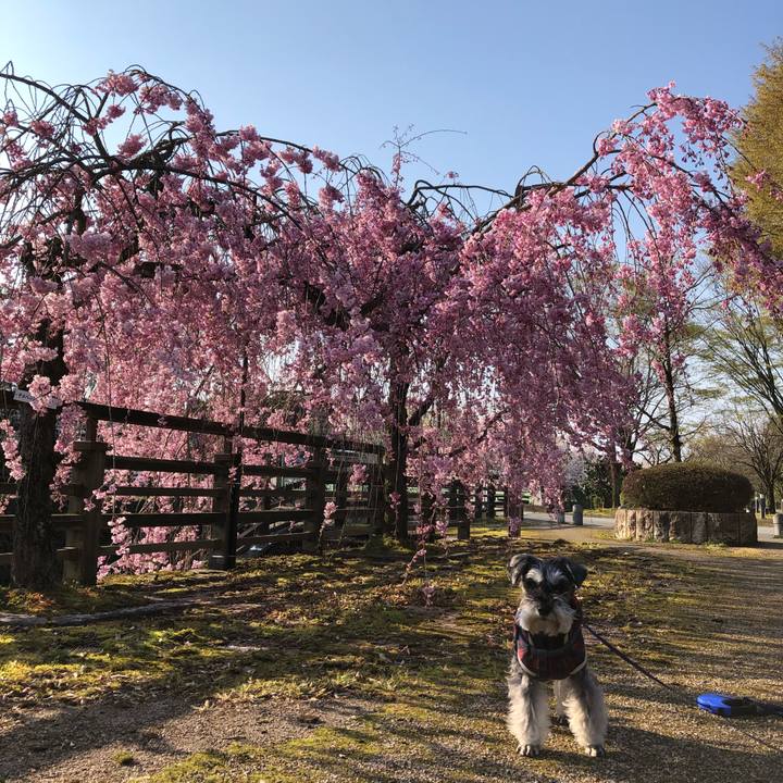 C3d876a5 a871 4c72 b1ff 3835f3373609 1681011649155