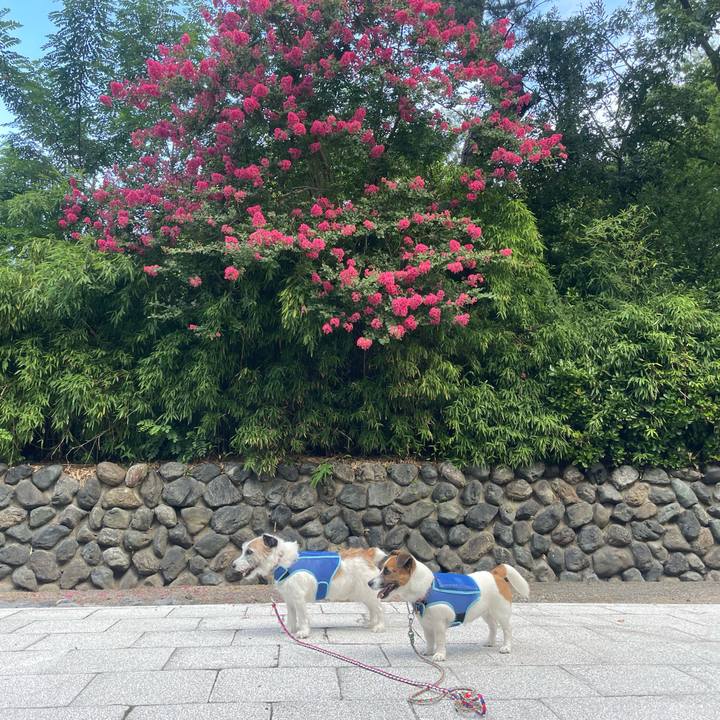 C3d88664 64b0 4737 aee6 0d0df2c02f63 1723072194730