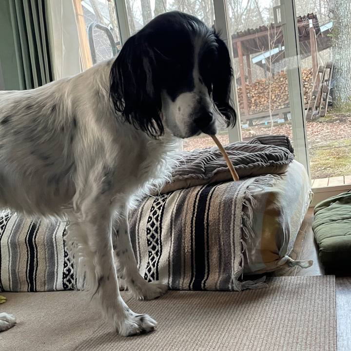 C3d8878b 8b51 4122 9b66 e23b121e7f4b 1775481020407