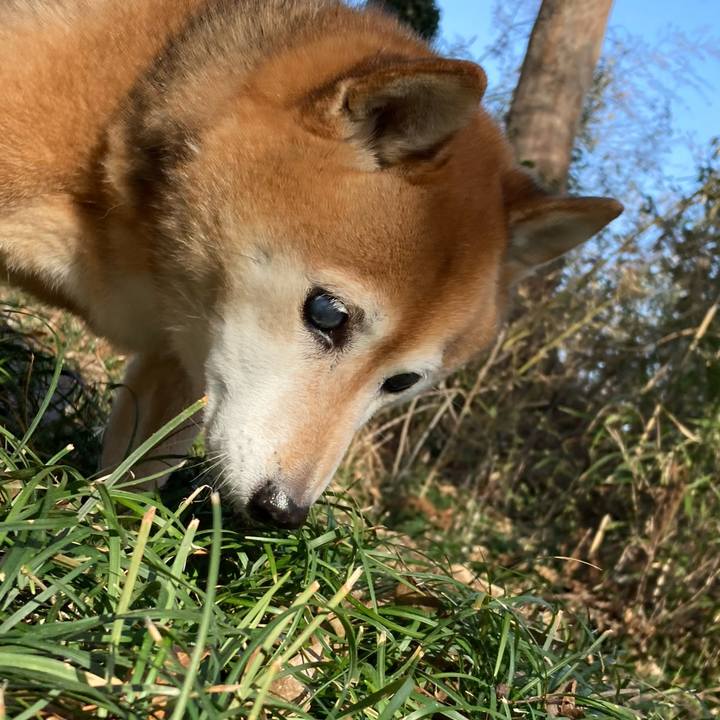 C3d89a27 ffcb 465f 8513 683a55d1e2e4 1676177125893