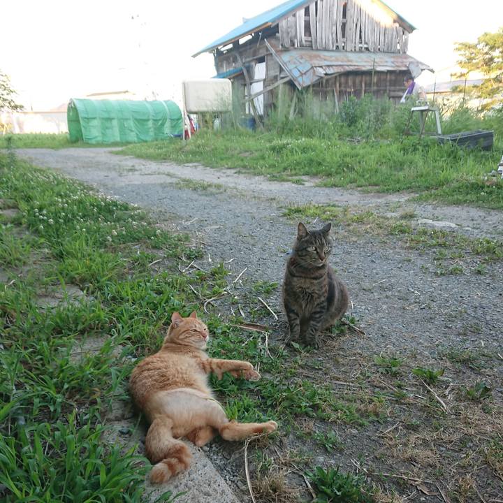 C3d89a82 da9d 4617 9297 0124ccc2b633 1656756101927