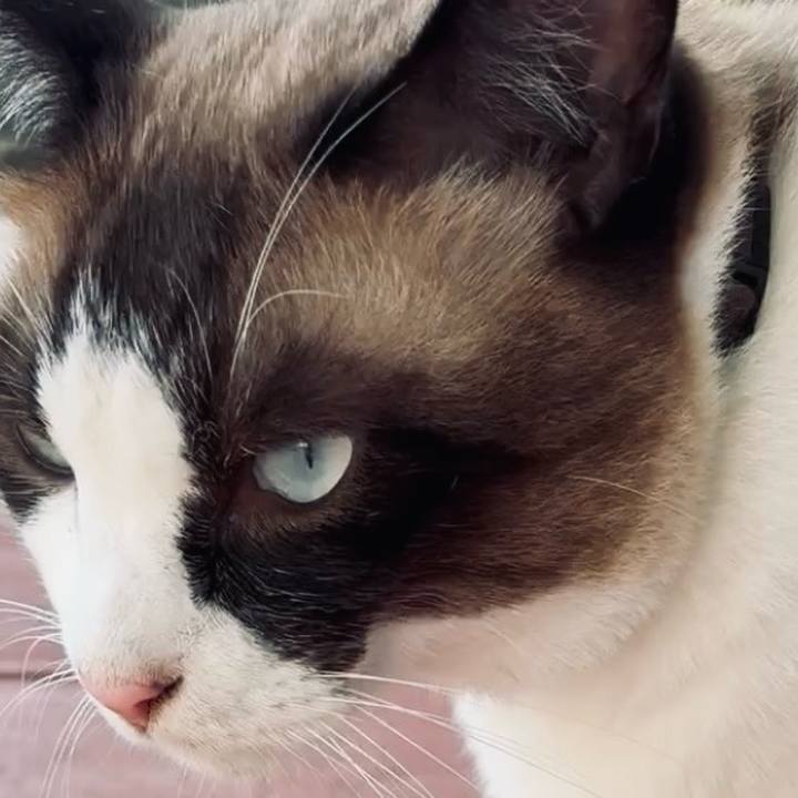 C3d8d85e a9a4 4452 bb6d 959ea61fc7cb 1755171745922