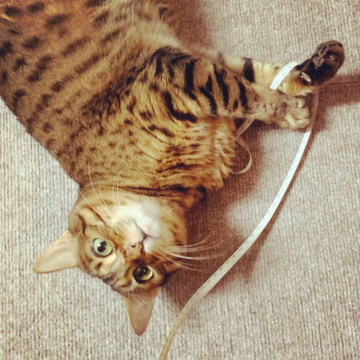 C3d923a9 b99b 42b3 891a 957b54f72a14 1626148365712