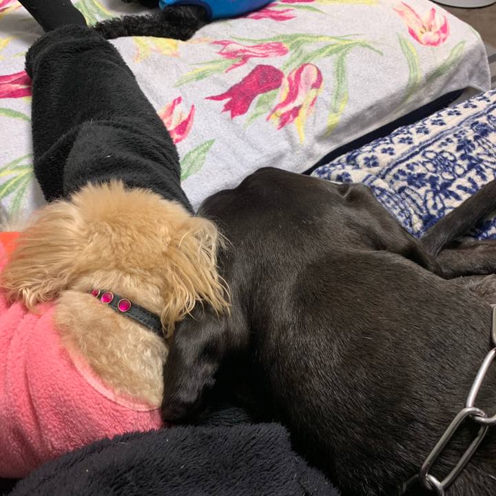 C3d96b05 fad8 4868 8f82 2ca08fdf8ffc 1547638449493