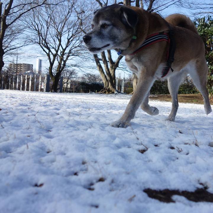 C3d99bf5 dd73 405c b433 b2fba682ff72 1549759048102