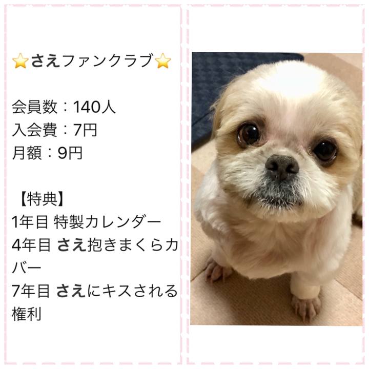 C3d9c533 f551 4551 9522 a6ac1a44a73c 1568471990261