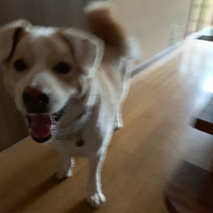 C3d9e4d5 80fc 44ac b6c8 cb5130824594 1568421503033