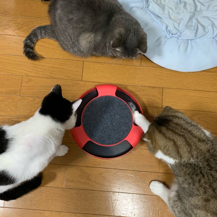 C3da1bad 56da 4cc6 9965 6753184d40d5 1549275363183