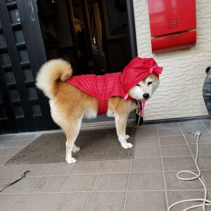 C3da1cb6 18e7 4746 806d 7b83c62198ed 1634447447340